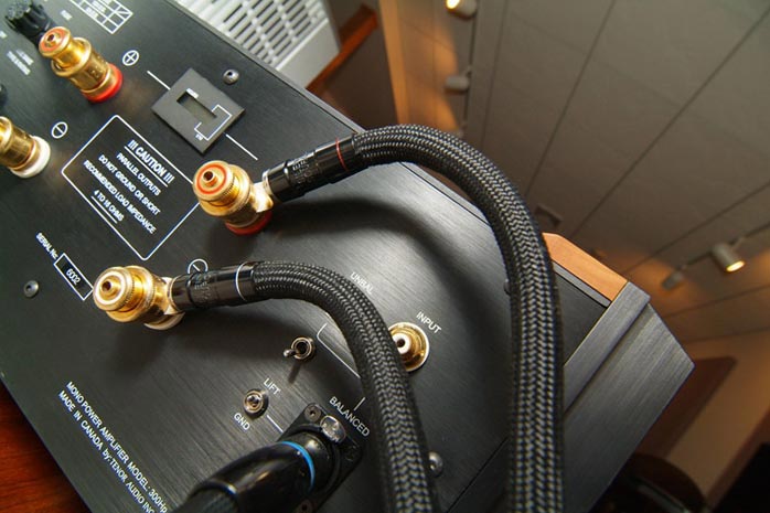 Silent Source speaker cables attached to amplifier